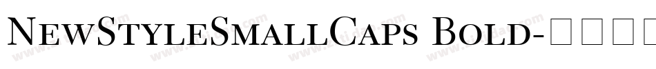NewStyleSmallCaps Bold字体转换